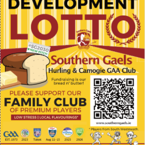 Lotto Ticket(s)